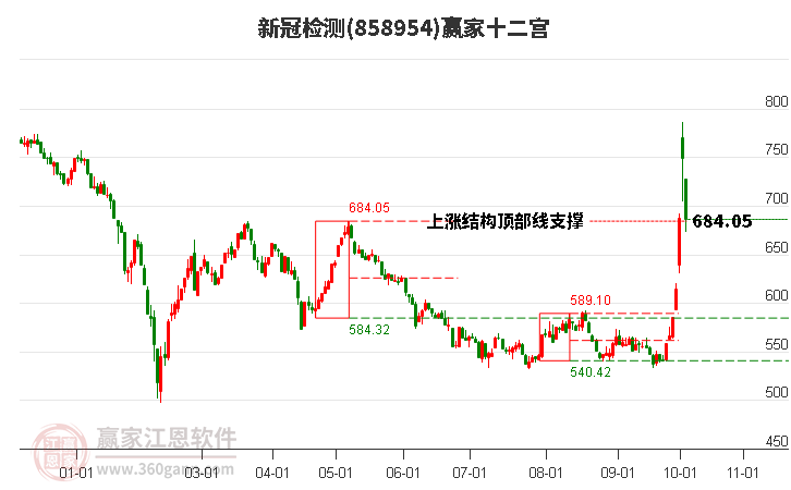 858954新冠检测赢家十二宫工具