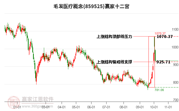 859525毛发医疗赢家十二宫工具