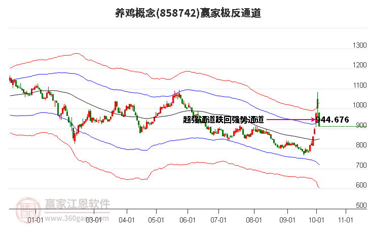 858742养鸡赢家极反通道工具