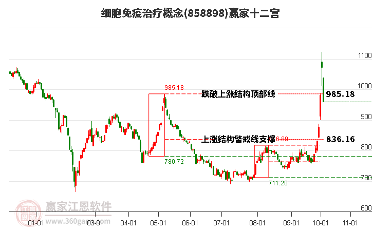 858898细胞免疫治疗赢家十二宫工具