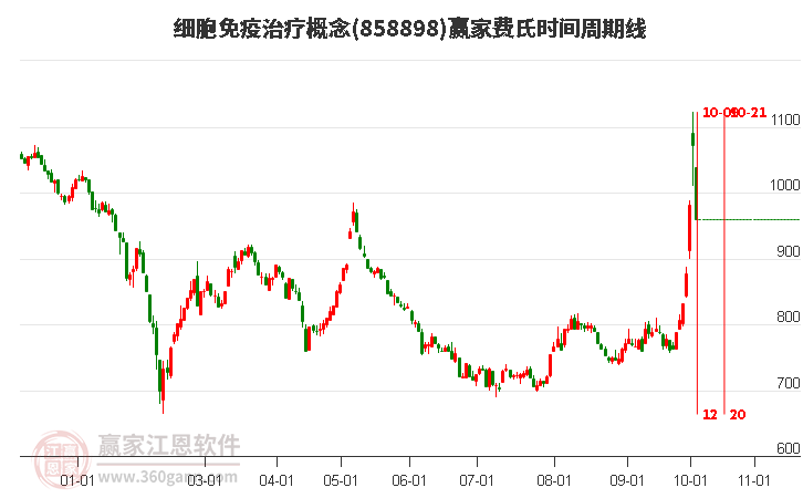 细胞免疫治疗概念费氏时间周期线工具