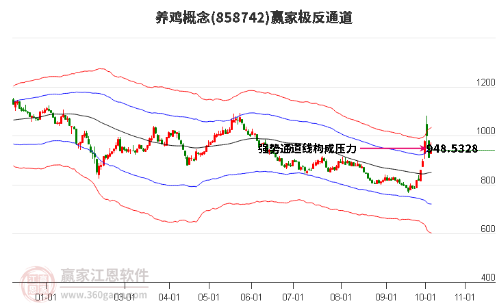 858742养鸡赢家极反通道工具