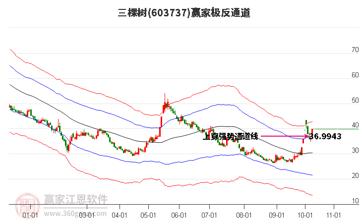 603737三棵树赢家极反通道工具