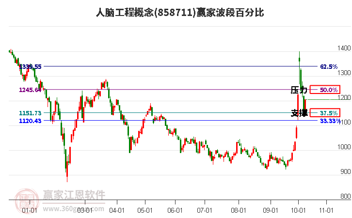 人脑工程概念赢家波段百分比工具