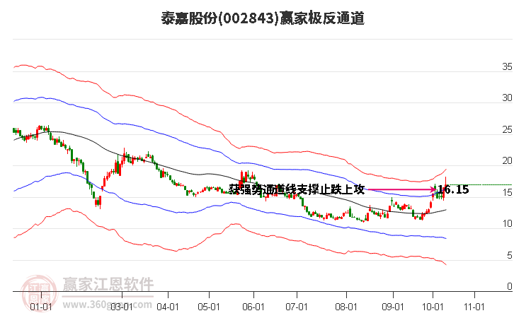 002843泰嘉股份赢家极反通道工具