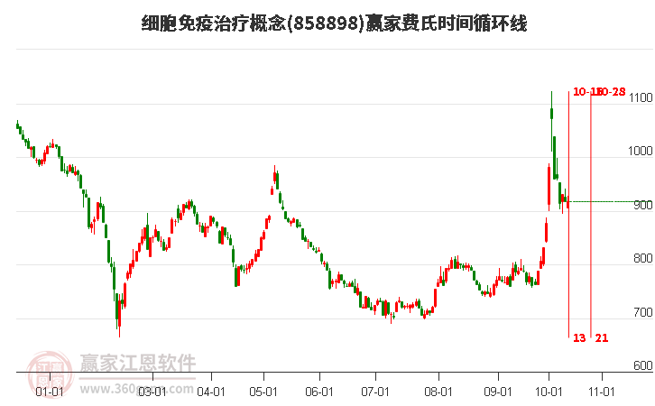 细胞免疫治疗概念赢家费氏时间循环线工具