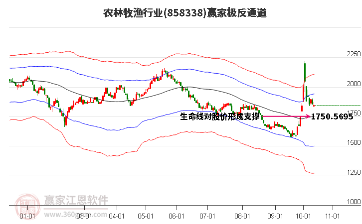 858338农林牧渔赢家极反通道工具