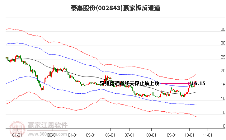 002843泰嘉股份赢家极反通道工具