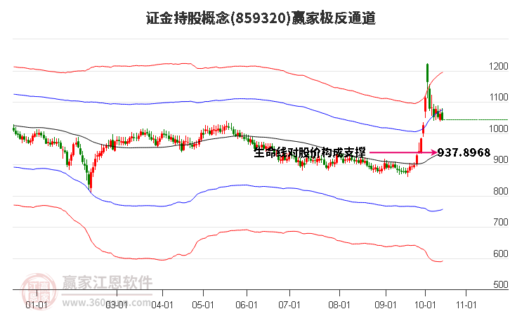 859320证金持股赢家极反通道工具