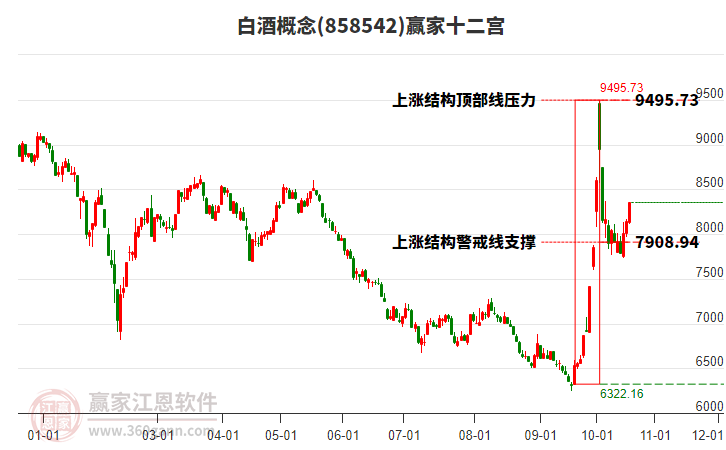 858542白酒赢家十二宫工具