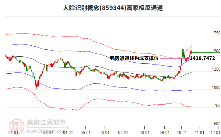 859344人脸识别赢家极反通道工具