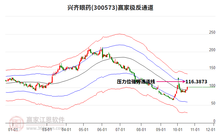 300573兴齐眼药赢家极反通道工具