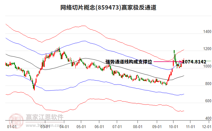 859473网络切片赢家极反通道工具