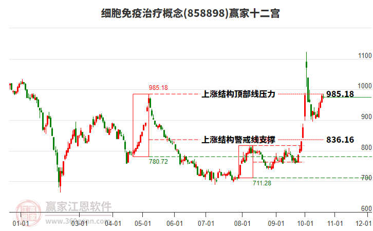 858898细胞免疫治疗赢家十二宫工具