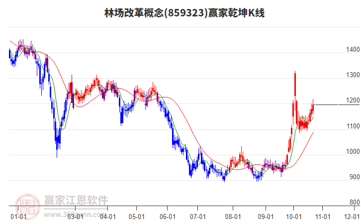 859323林场改革赢家乾坤K线工具