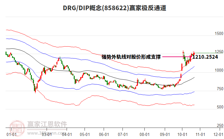 858622DRG/DIP贏家極反通道工具