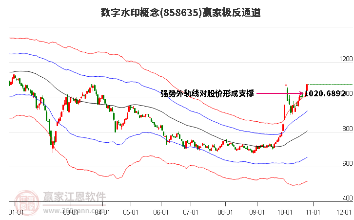 858635数字水印赢家极反通道工具