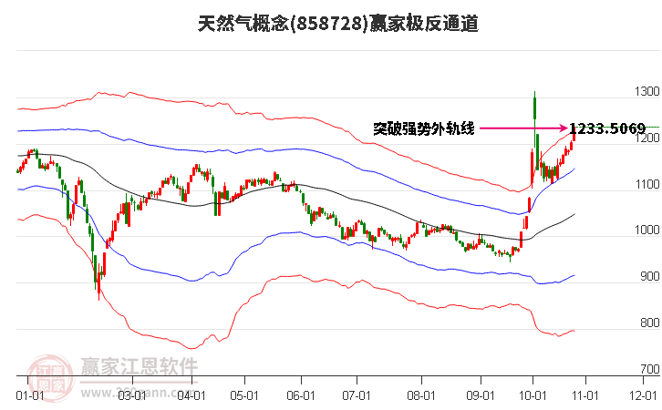 858728天然气赢家极反通道工具