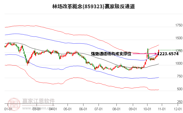 859323林场改革赢家极反通道工具