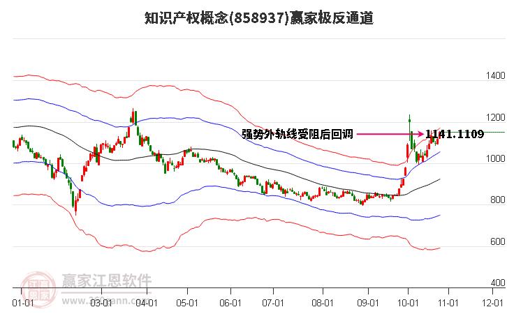 858937知识产权赢家极反通道工具