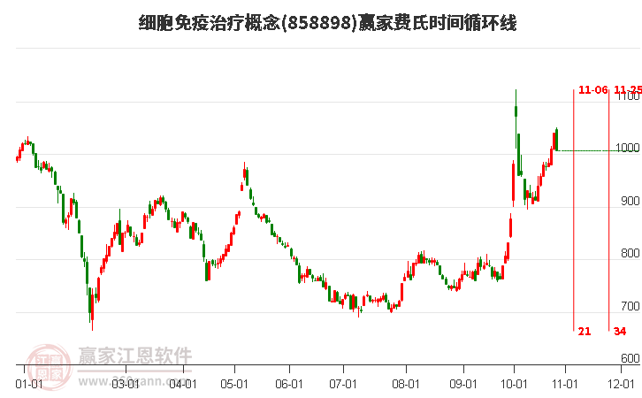 细胞免疫治疗概念费氏时间循环线工具