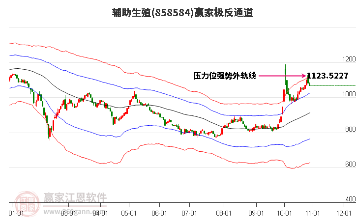 858584辅助生殖赢家极反通道工具