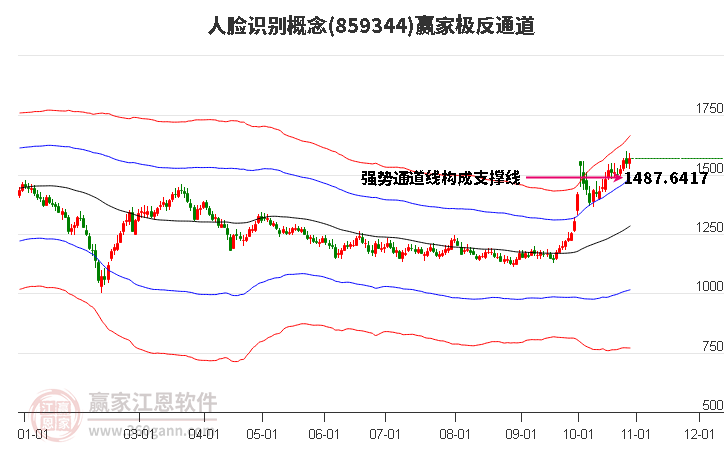 859344人脸识别赢家极反通道工具