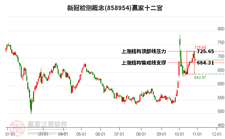 858954新冠检测赢家十二宫工具