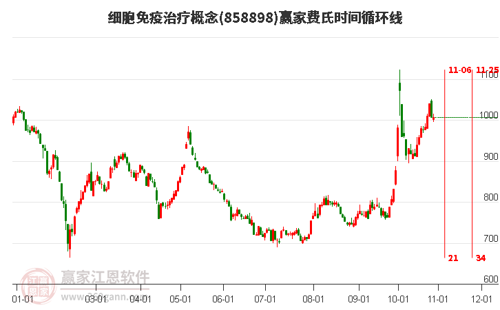 细胞免疫治疗概念赢家费氏时间循环线工具