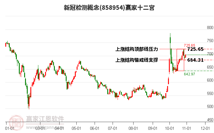 858954新冠检测赢家十二宫工具