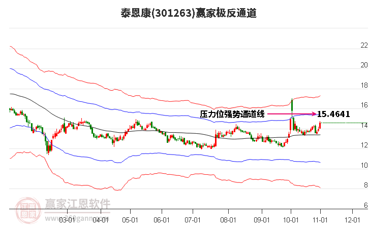 301263泰恩康赢家极反通道工具