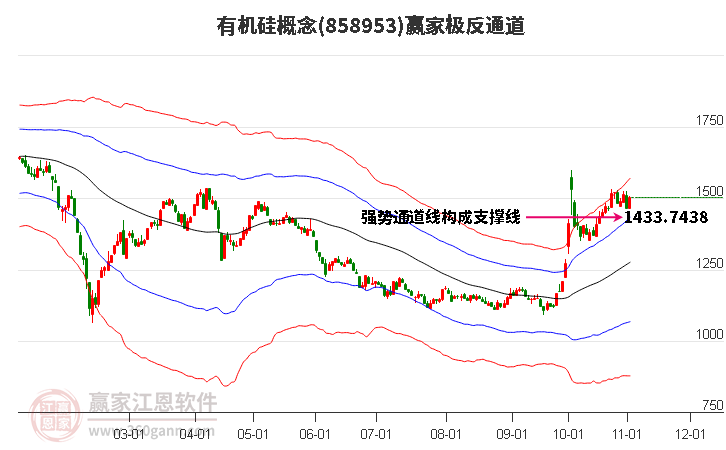 858953有机硅赢家极反通道工具