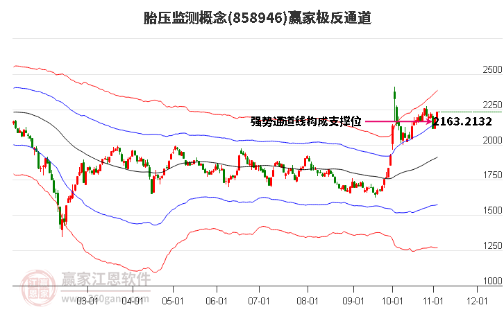 858946胎压监测赢家极反通道工具