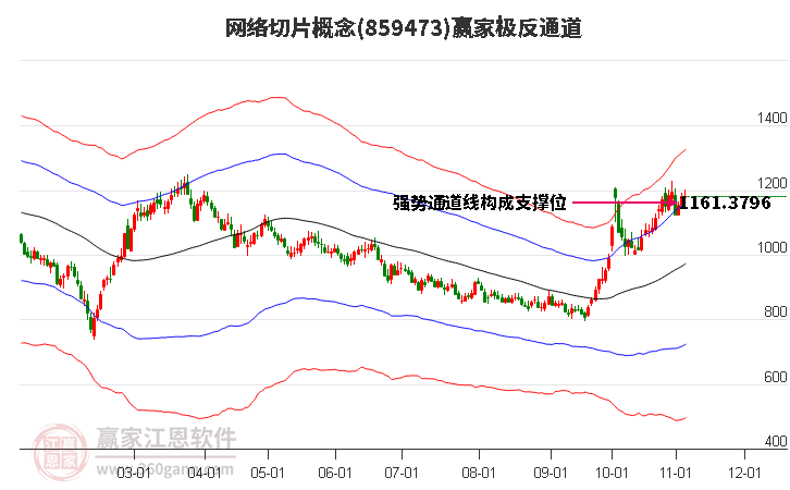 859473网络切片赢家极反通道工具