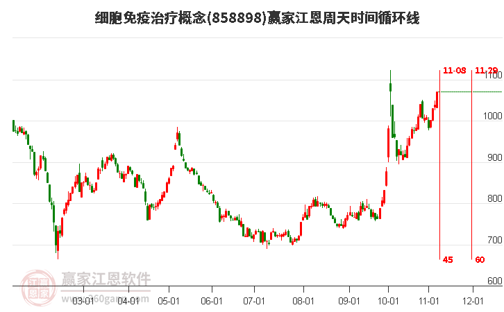 細胞免疫治療概念贏家江恩周天時間循環線工具