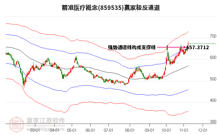 859535精准医疗赢家极反通道工具