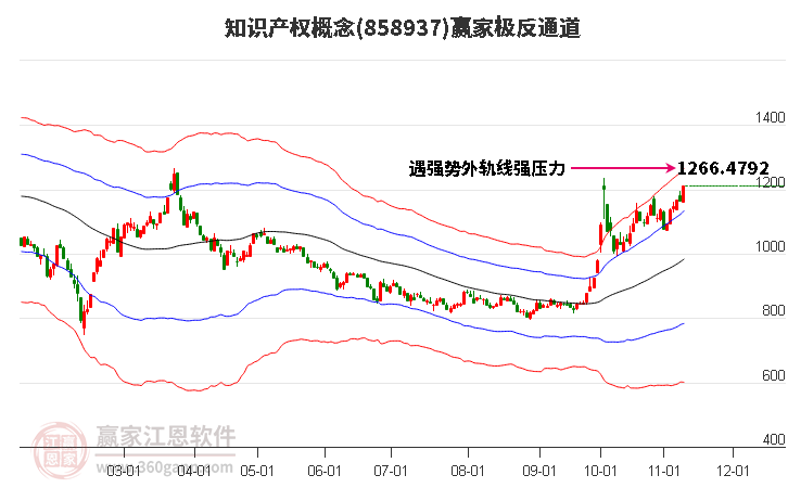 858937知识产权赢家极反通道工具