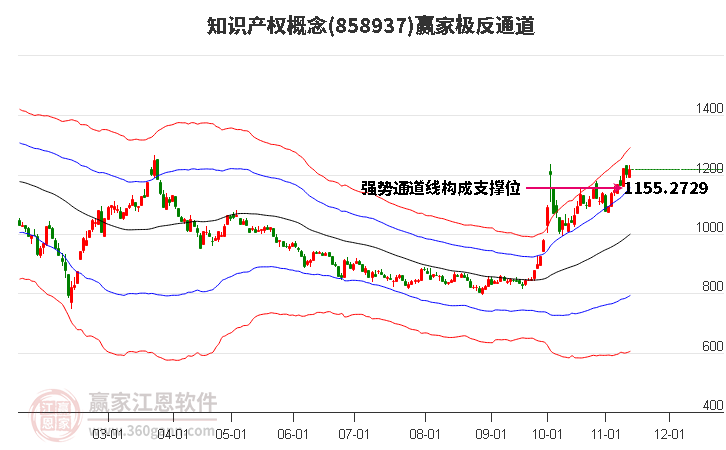 858937知识产权赢家极反通道工具