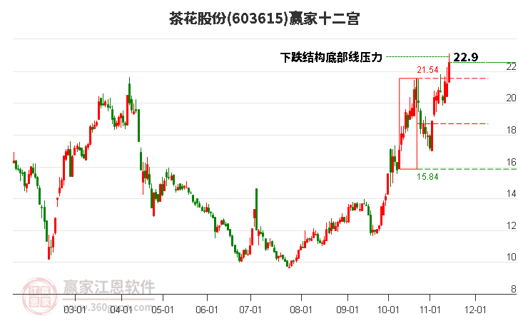 603615茶花股份贏家十二宮工具