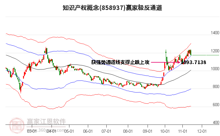 858937知识产权赢家极反通道工具