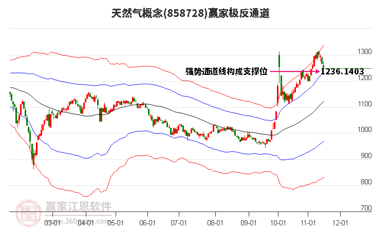 858728天然气赢家极反通道工具