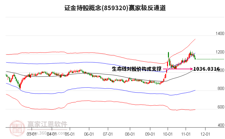 859320证金持股赢家极反通道工具