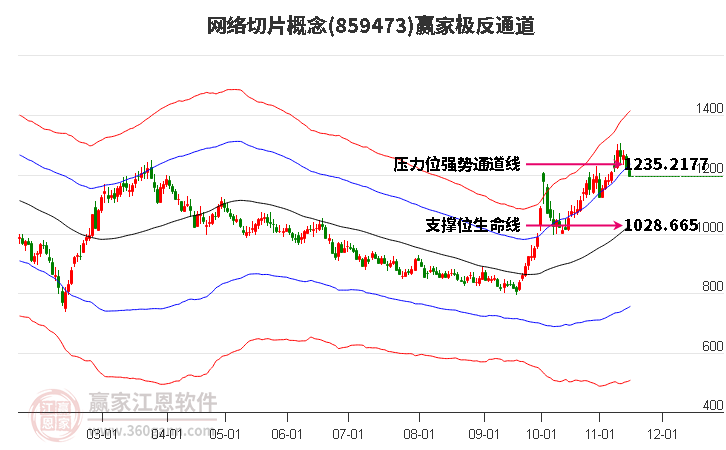 859473网络切片赢家极反通道工具