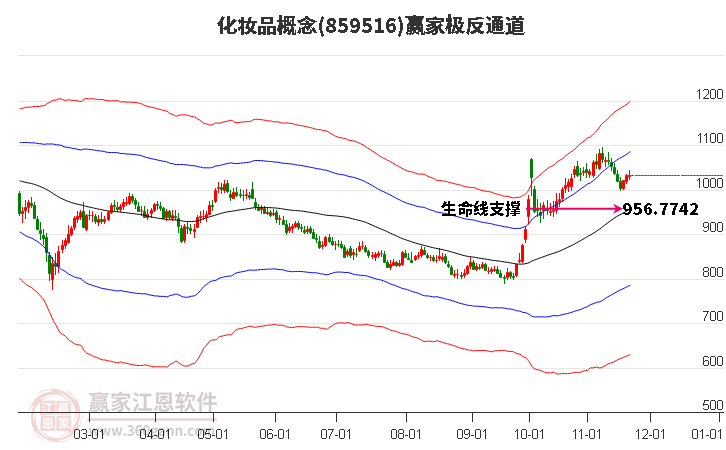 859516化妝品贏家極反通道工具