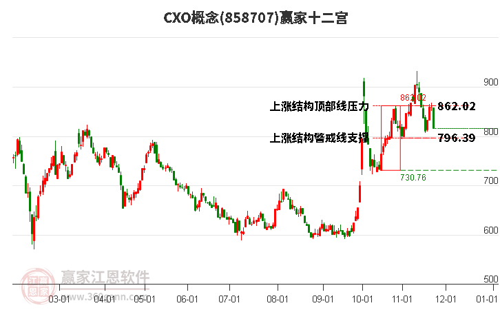 858707CXO贏家十二宮工具 858707CXO贏家十二宮工具