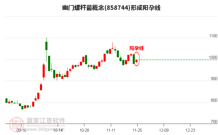 幽門螺桿菌概念形成陽孕線形態