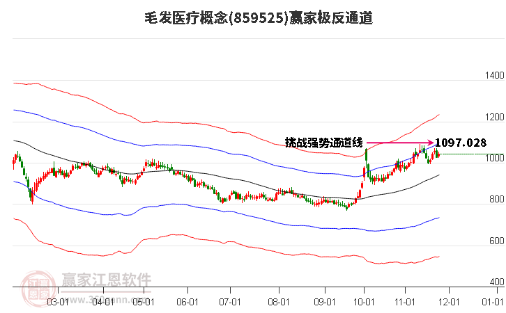 859525毛發(fā)醫(yī)療贏家極反通道工具
