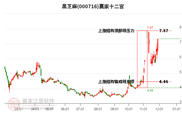 000716黑芝麻贏家十二宮工具