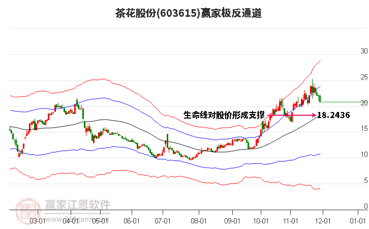 603615茶花股份贏家極反通道工具