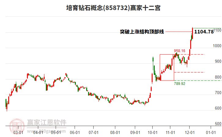 858732培育鉆石贏家十二宮工具 858732培育鉆石贏家十二宮工具
